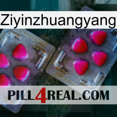 Ziyinzhuangyang 15